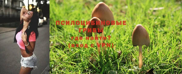 гашик Навашино