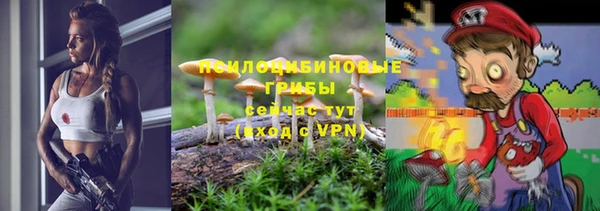 ГАЛЛЮЦИНОГЕННЫЕ ГРИБЫ Наволоки